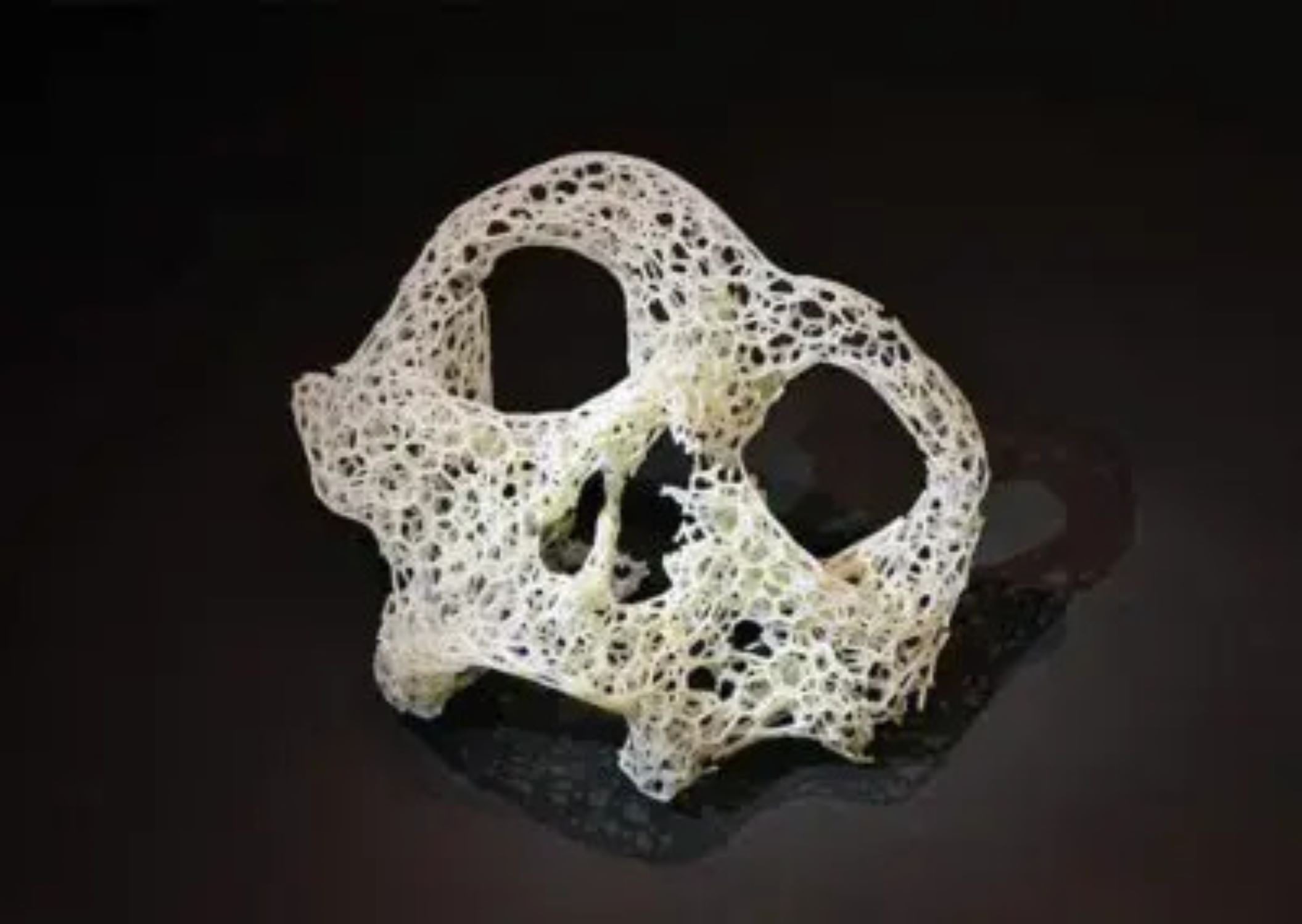 cell skull